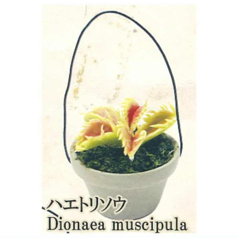 Japan Rainbow Gashapon Capsule - Capsule Toy Gashapon ulasan dan harga