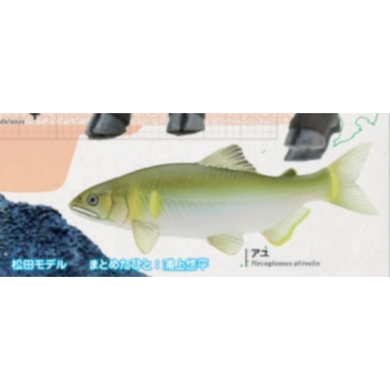 Japan Ikimon Gashapon Capsule  - Capsule Toy Gashapon ulasan dan harga